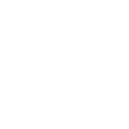 һ̱򵷡ڸ۳ҥեߥ꡼